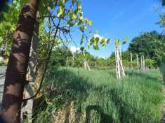 Foto Terreno edificabile in vendita a Spoleto