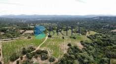 Foto Terreno edificabile in vendita a Telti