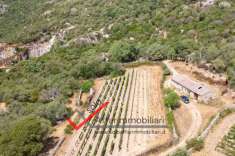 Foto Terreno edificabile in vendita a Telti