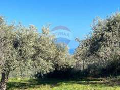 Foto Terreno edificabile in vendita a Termini Imerese