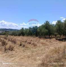 Foto Terreno edificabile in vendita a Torrevecchia Teatina