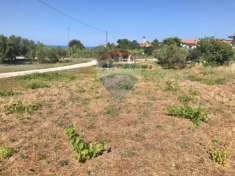Foto Terreno edificabile in vendita a Torrevecchia Teatina