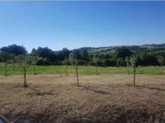 Foto Terreno edificabile in vendita a Torrita Di Siena