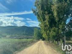 Foto Terreno edificabile in vendita a Tortoli'