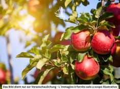 Foto Terreno edificabile in vendita a Trento