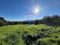 Foto Terreno edificabile in vendita a Vitorchiano