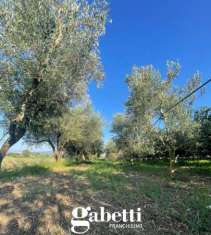 Foto Terreno edificabile in vendita a Vitulazio