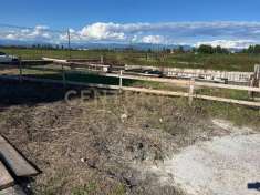 Foto Terreno edificabile in vendita a Zevio