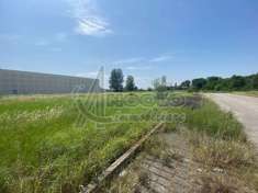 Foto Terreno edificabile industriale in vendita a Occhiobello