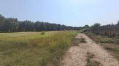 Foto Terreno edificabile industriale in vendita a Taurianova
