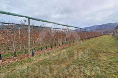 Foto Terreno edificabile industriale in vendita a Termeno Sulla Strada Del Vino