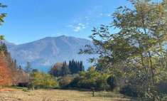 Foto Terreno edificabile industriale in vendita a Tremezzina