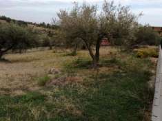 Foto Terreno edificabile lottizzato e urbanizzato