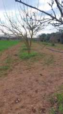 Foto Terreno edificabile nardo lecce zona posto di blocco