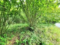 Foto Terreno edificabile residenziale in vendita a Avellino