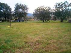 Foto Terreno edificabile residenziale in vendita a Bevagna