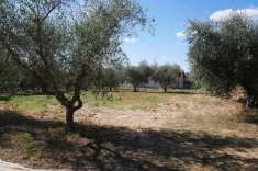 Foto Terreno edificabile residenziale in vendita a Bibbona