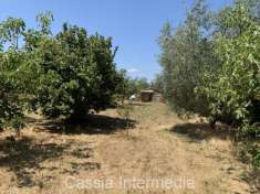 Foto Terreno edificabile residenziale in vendita a Castel Sant'Elia