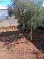 Foto Terreno edificabile residenziale in vendita a Cavallino