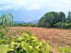 Foto Terreno edificabile residenziale in vendita a Foligno