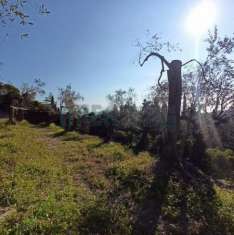 Foto Terreno edificabile residenziale in vendita a Imperia