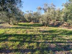 Foto Terreno edificabile residenziale in vendita a Lucignano