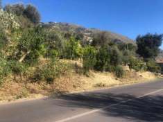 Foto Terreno edificabile residenziale in vendita a Monreale