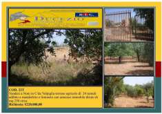Foto Terreno edificabile residenziale in vendita a Noto
