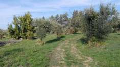Foto Terreno edificabile residenziale in vendita a Orsogna