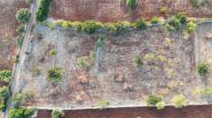 Foto Terreno edificabile residenziale in vendita a Polignano A Mare