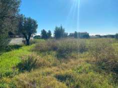 Foto Terreno edificabile residenziale in vendita a Sellia Marina