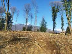 Foto Terreno edificabile residenziale in vendita a Valdilana