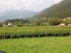Foto Terreno edificabile residenziale in vendita a Vallarsa
