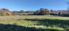 Foto Terreno edificabile residenziale in vendita a Vetralla