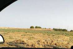 Foto Terreno in contrada Piccoli zona industriale di Brindisi 8557mq