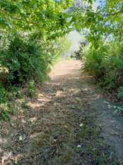 Foto Terreno in strada Provinciale Verentana, km 7 a Marta (VT)