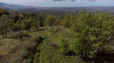 Foto Terreno in vendita  (ce)
