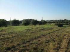 Foto Terreno in vendita