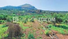 Foto Terreno in vendita a Bagheria - Rif. 4506700