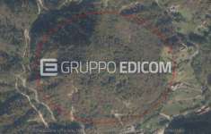 Foto Terreno in vendita a Belluno - Rif. 4523831