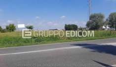 Foto Terreno in vendita a Casaleone - Rif. 4507447