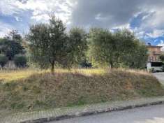 Foto TERRENO in VENDITA a CUPRA MARITTIMA