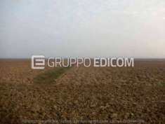 Foto Terreno in vendita a Ferrara - Rif. 4537287