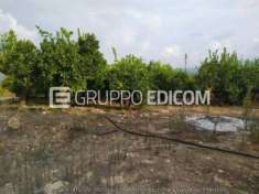 Foto Terreno in vendita a Francofonte - Rif. 4501635