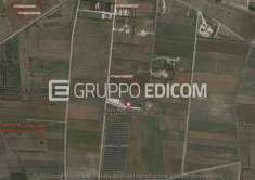 Foto Terreno in vendita a Guagnano - Rif. 4508707