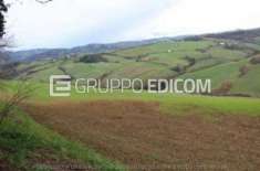 Foto Terreno in vendita a Meldola - Rif. 4514731