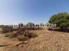 Foto Terreno in vendita a Melilli - Rif. 4503457