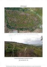 Foto Terreno in vendita a Montescaglioso - Rif. 4501323