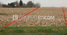 Foto Terreno in vendita a Nogara - Rif. 4507436