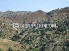 Foto Terreno in vendita a Palizzi - Rif. 4501384